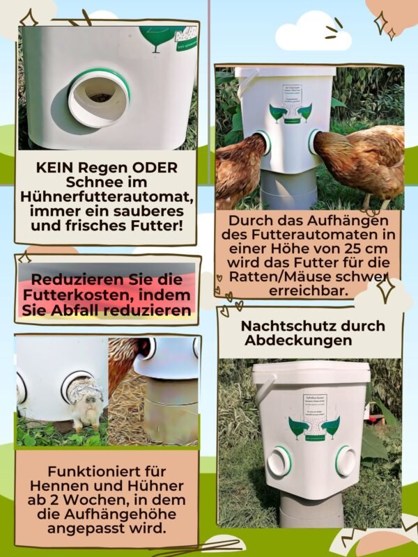Automatischer Hühner-Futterspender – Praktisch, Verschwendungsfrei Für Hühnerstall